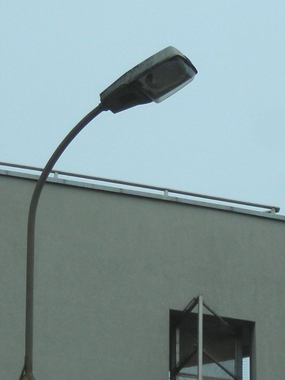 DSCN6222