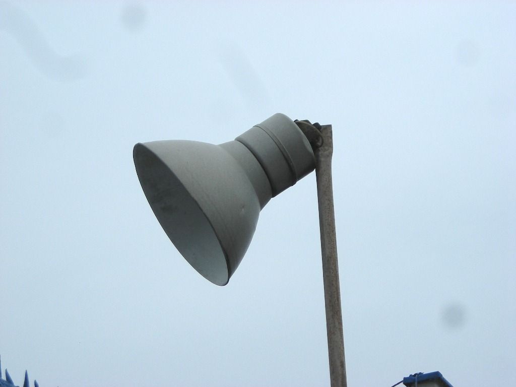 DSCN6217