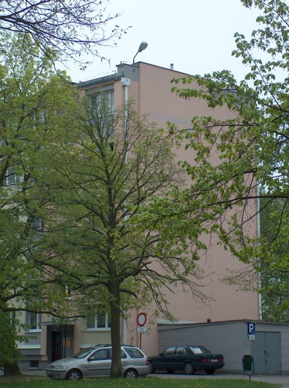 HPIM6452