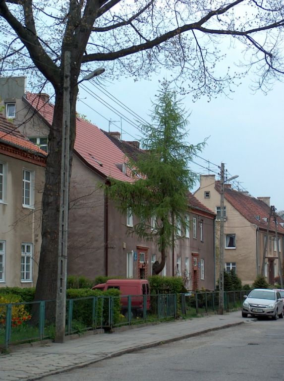 HPIM6441