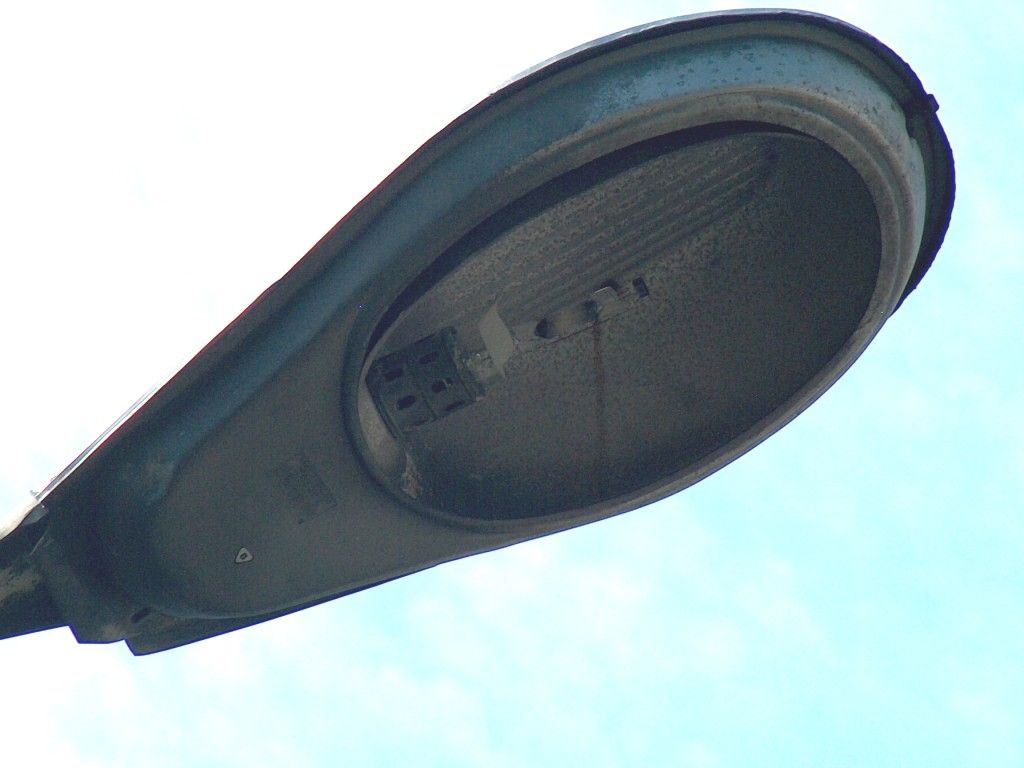 HPIM6510