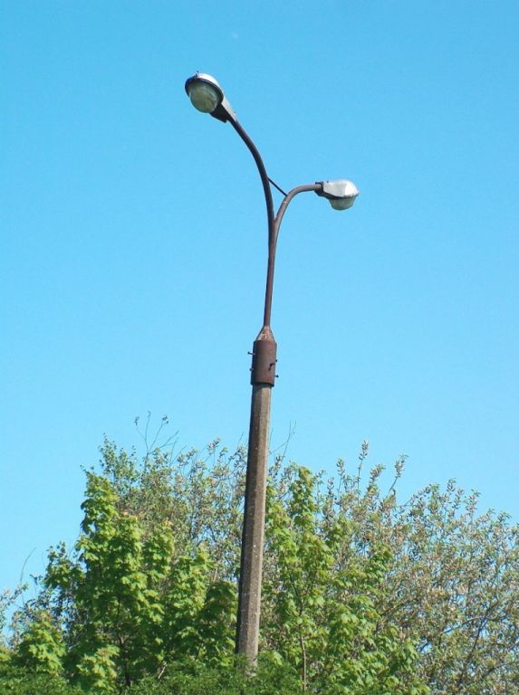 HPIM6562