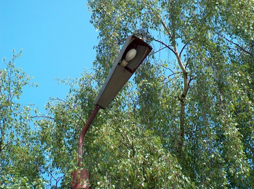 HPIM6515