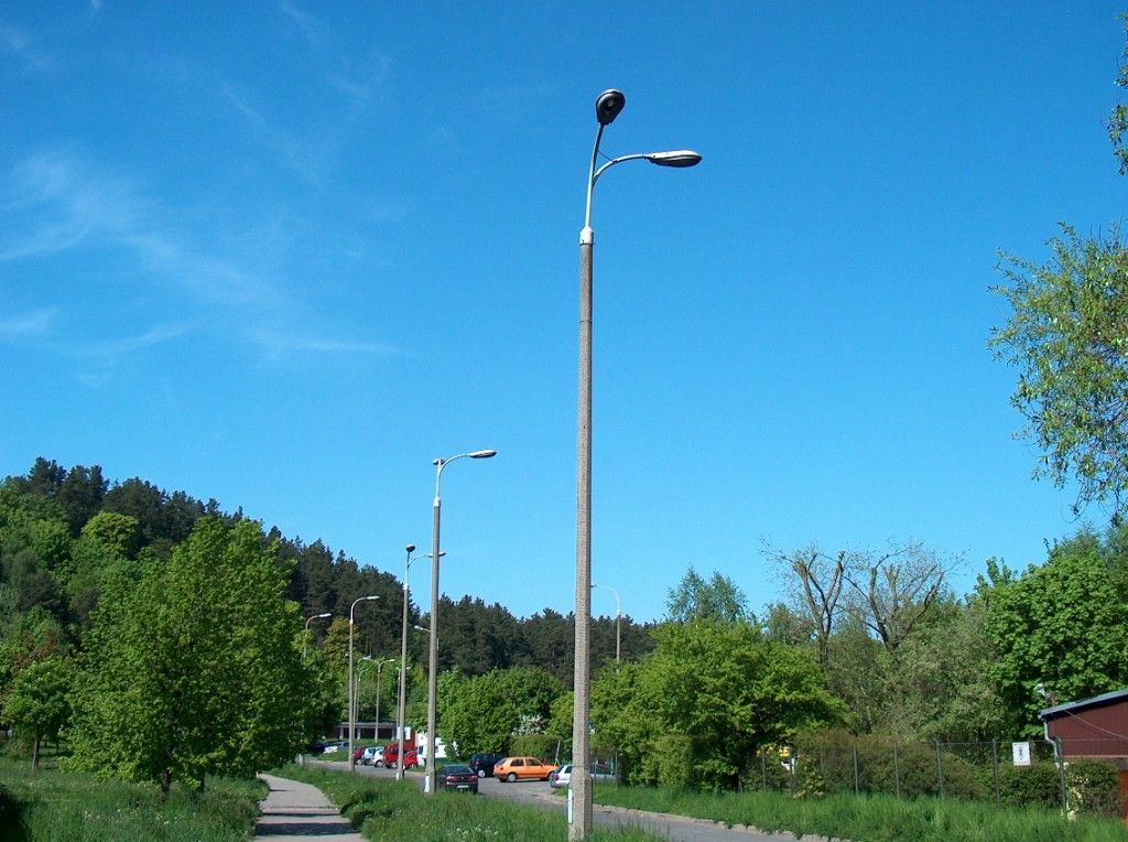 HPIM6535