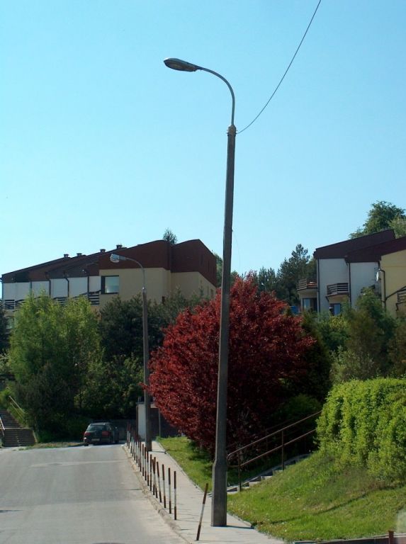 HPIM6560