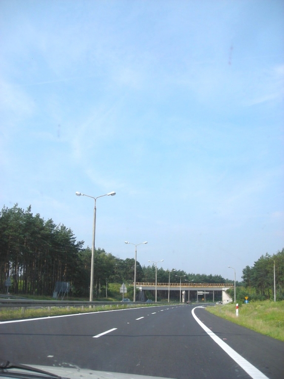 DSCN3643