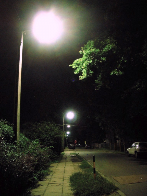 DSCN3848