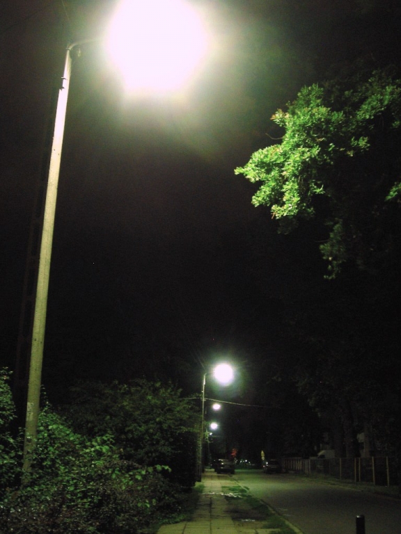 DSCN3849