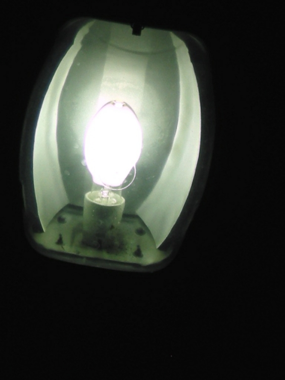 DSCN3850