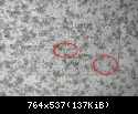 DSCN3908