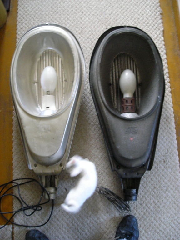 DSCN3925
