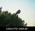HPIM6925