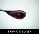 HPIM7257