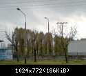 HPIM7258