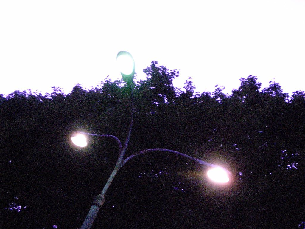 DSCN6519
