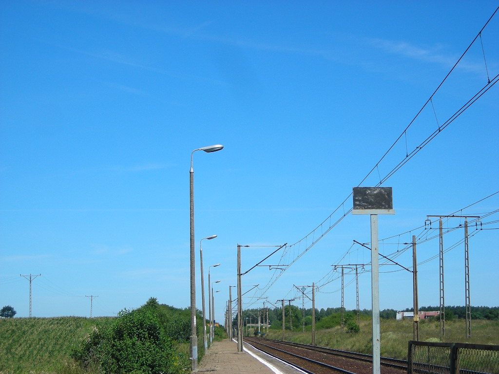 DSCN6562