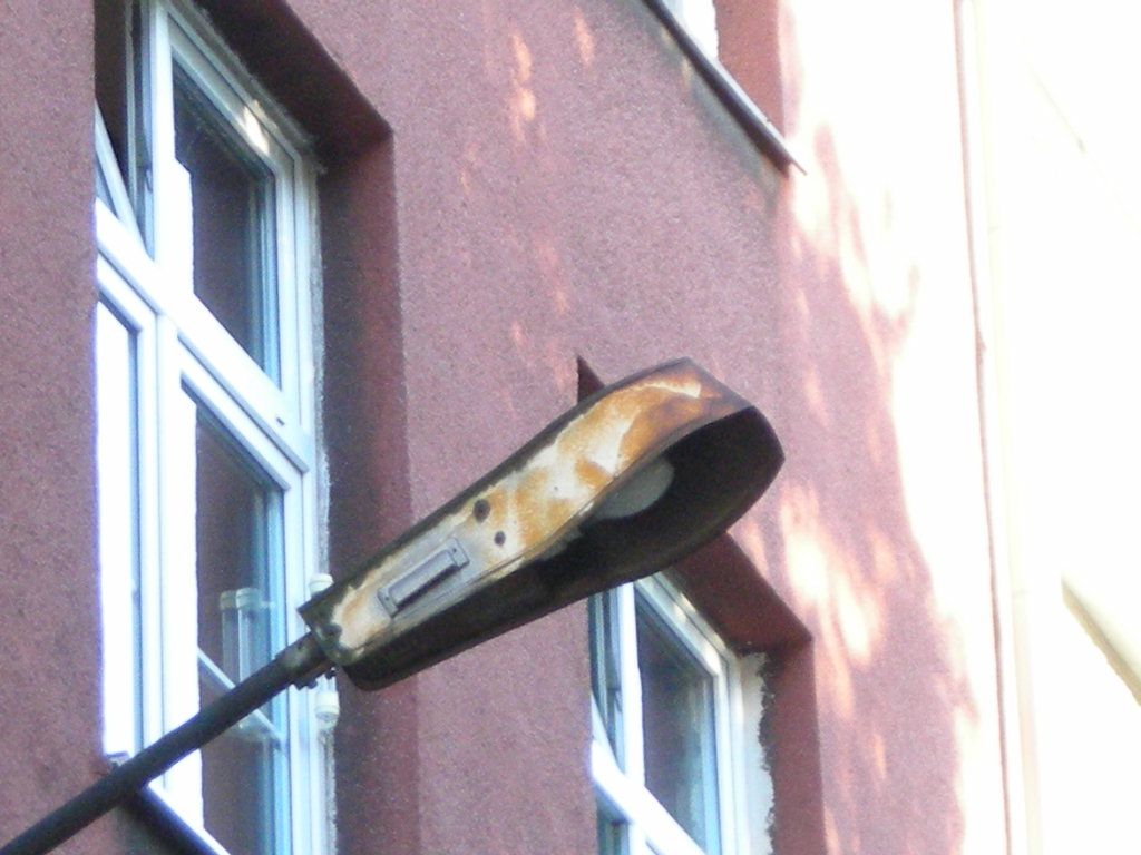 DSCN6639
