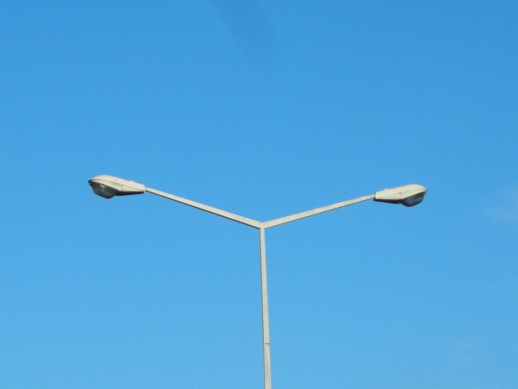 DSCN6630