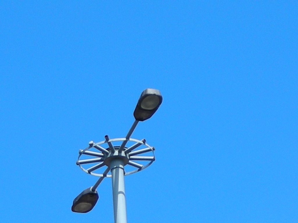 DSCN6597