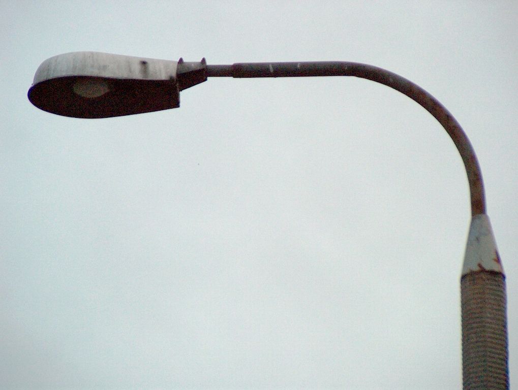 HPIM7331