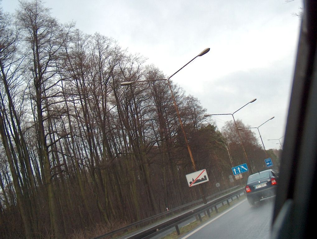 HPIM7388