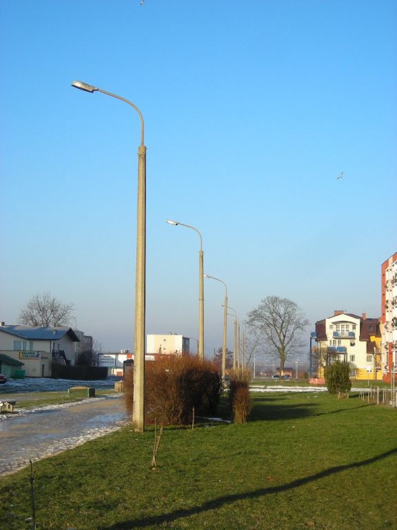 DSCN0479