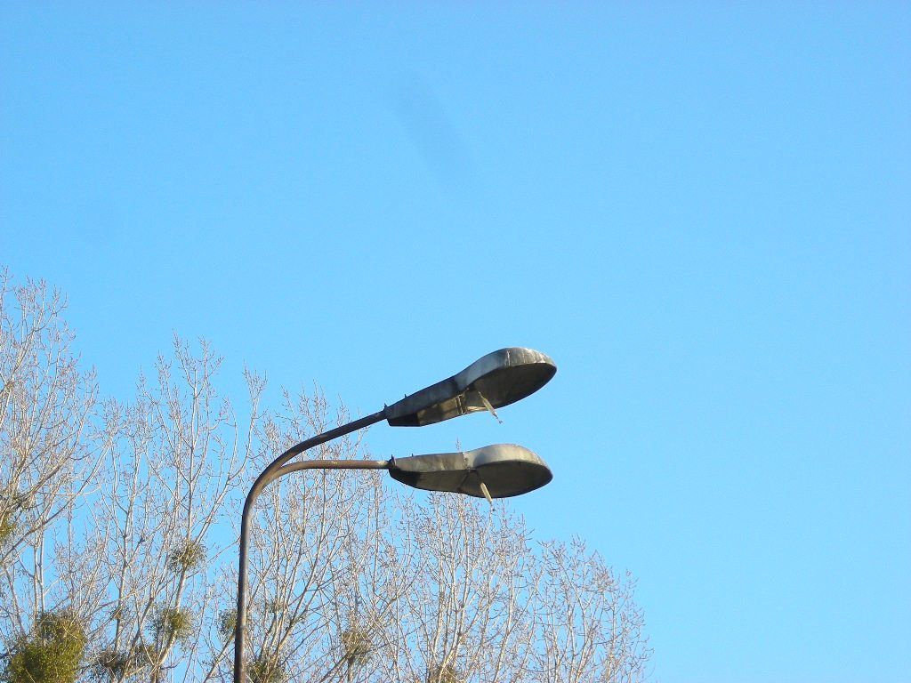 DSCN0481