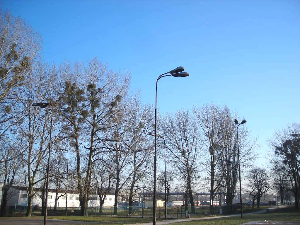 DSCN0484