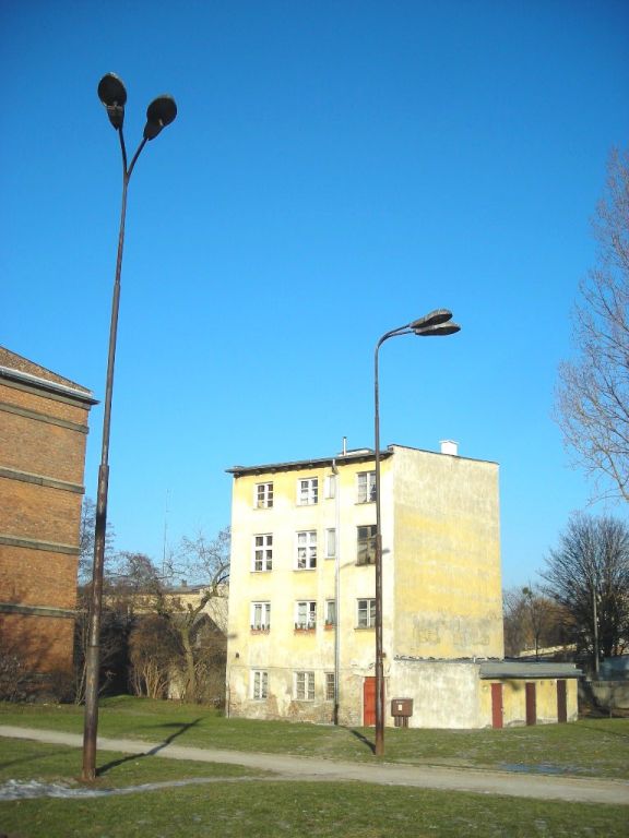DSCN0485
