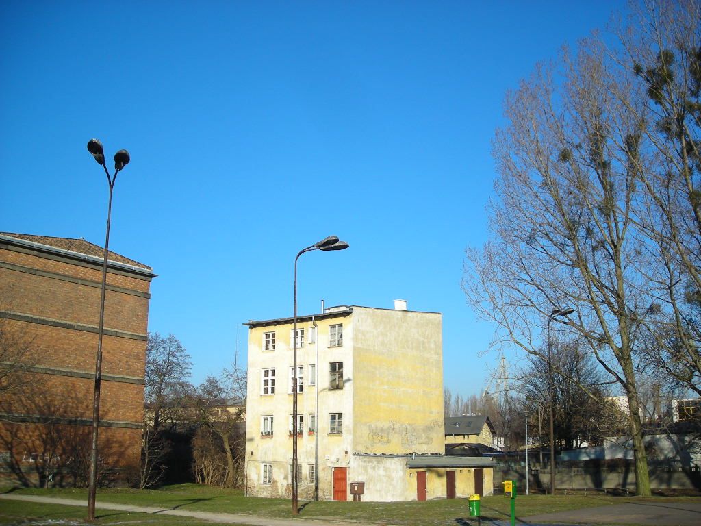 DSCN0489