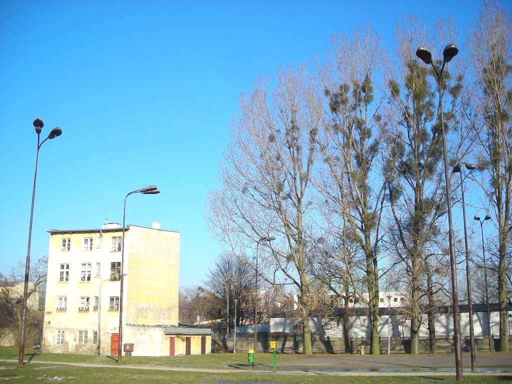 DSCN0491