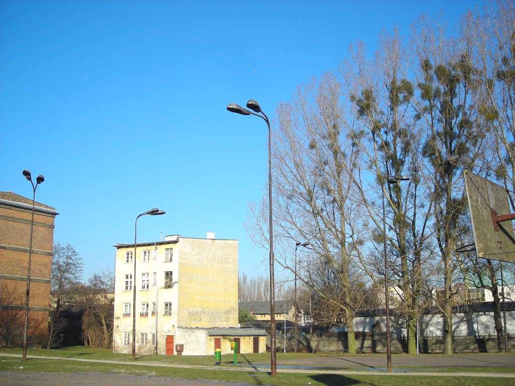 DSCN0492