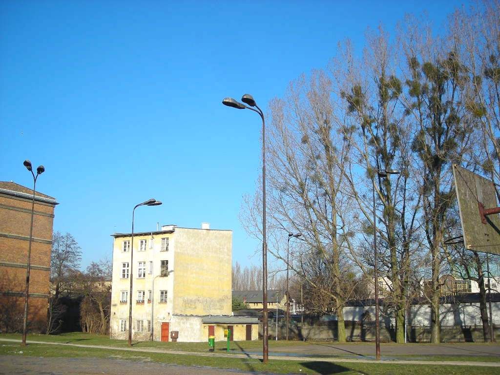 DSCN0493