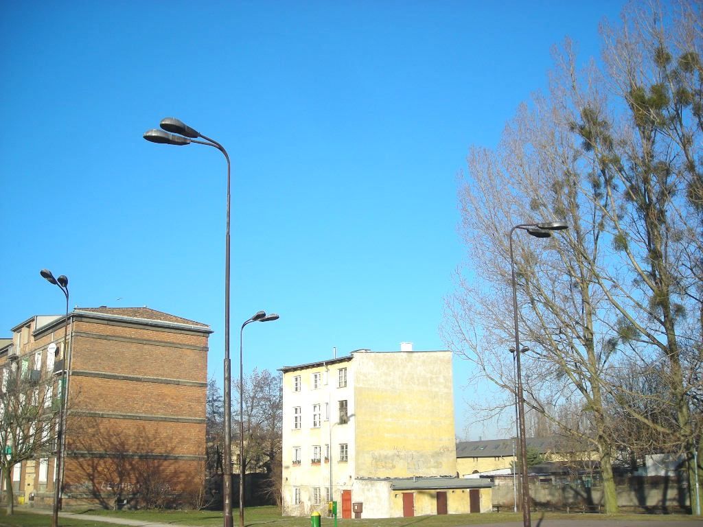DSCN0495