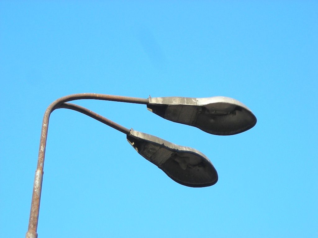 DSCN0498