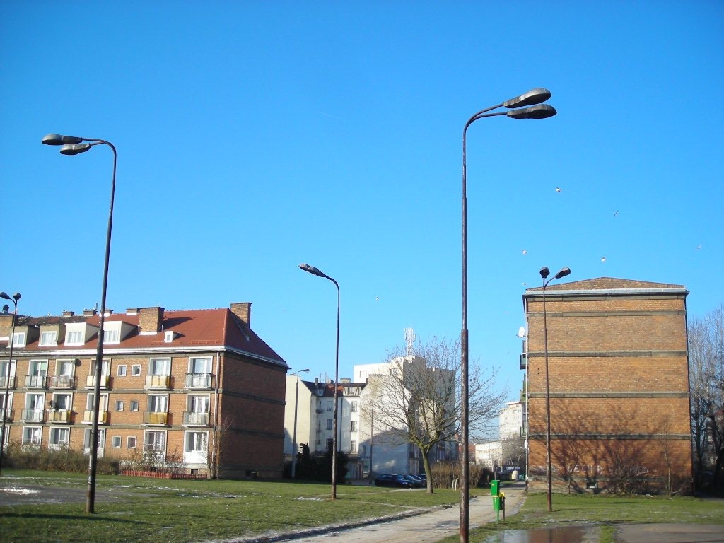 DSCN0507