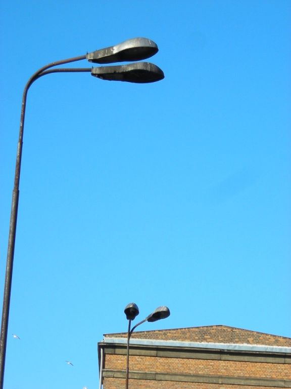 DSCN0508