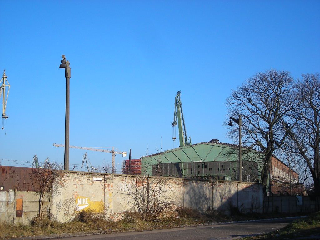 DSCN0521