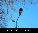 DSCN0530
