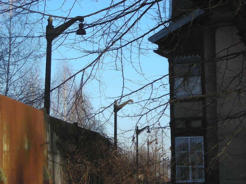 DSCN0538