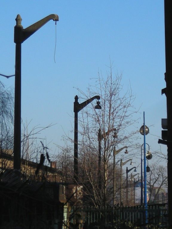DSCN0541