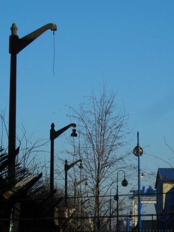 DSCN0546