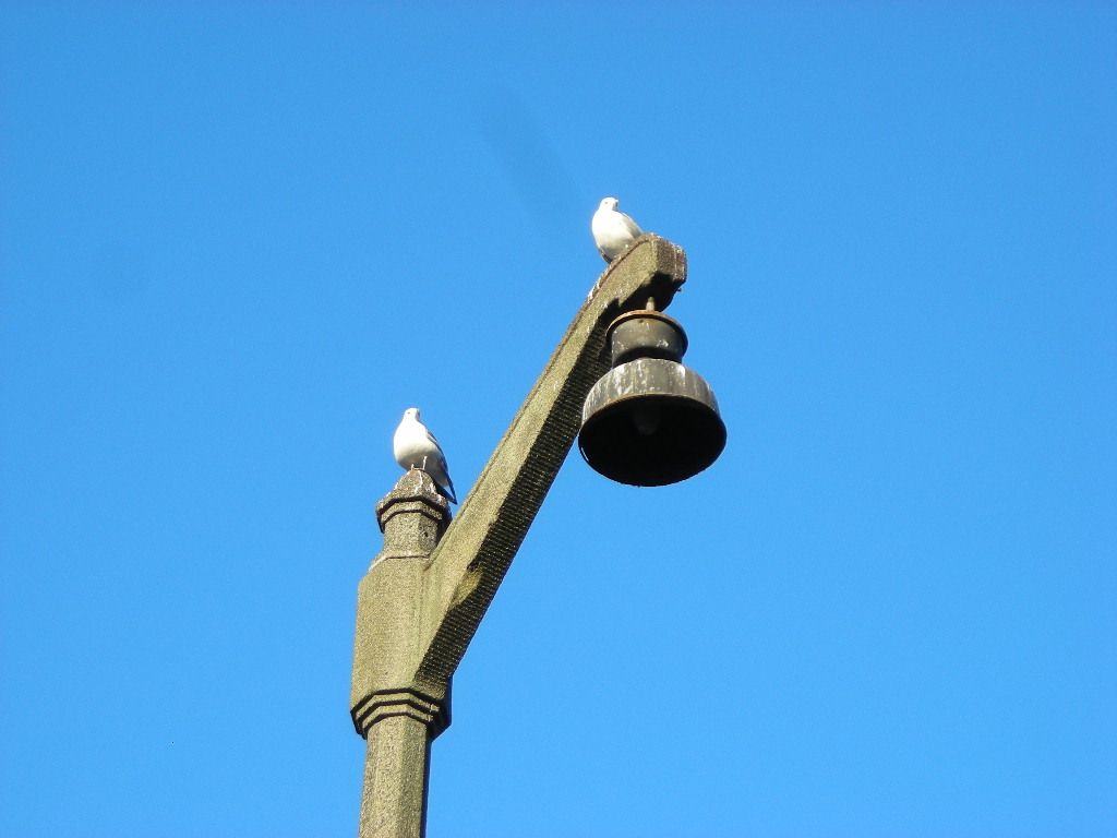 DSCN0553