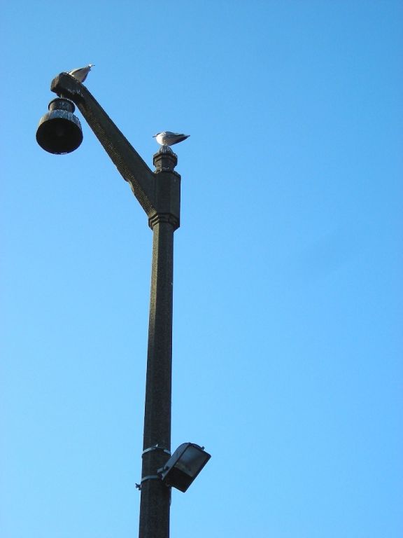 DSCN0555