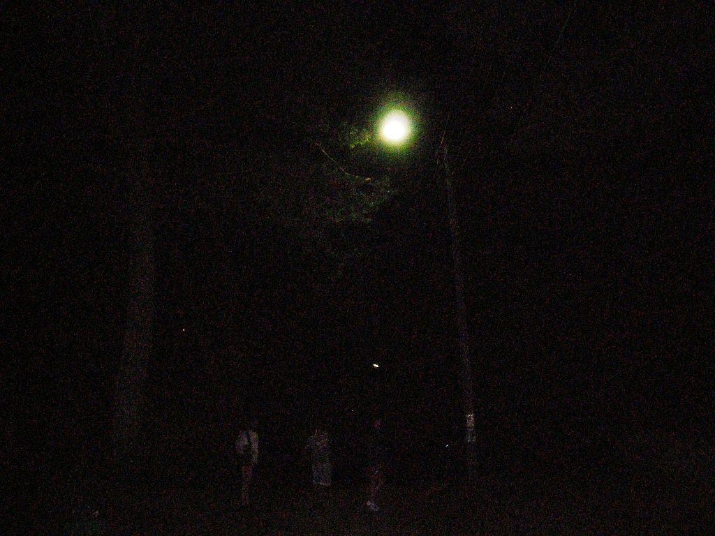 DSCN6319