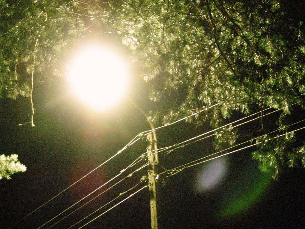 DSCN6320