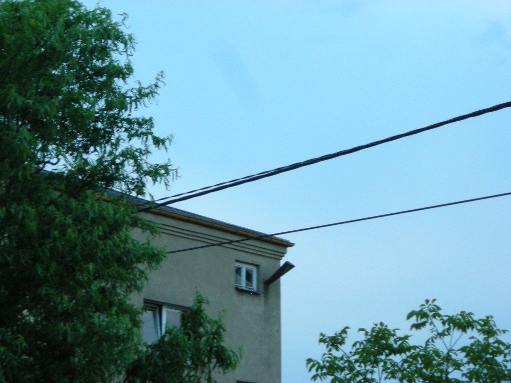 DSCN5623