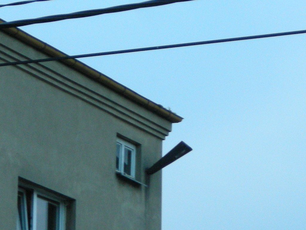 DSCN5626