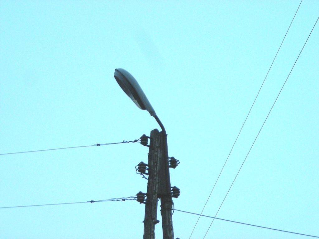 DSCN5629