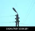 DSCN5629